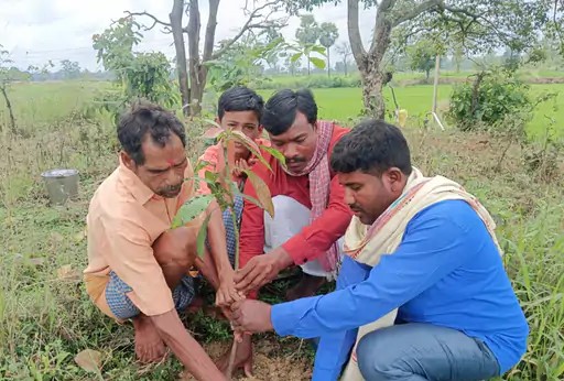बसना: बंजारी तालाब गजराडीह परिसर में पौधारोपण हरियाली बढ़ाने का लिया संकल्प Plantation basna