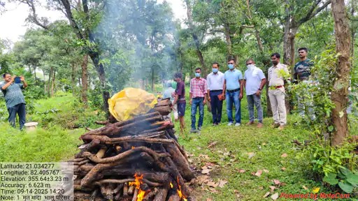 महासमुंद : चंडी माता मंदिर परिसर के पास मादा भालू मृत मिली, विभाग ने बताया प्राकृतिक मौत bhalu mrit awastha me paya gaya