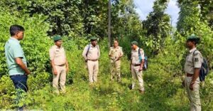 Bar jangal image two