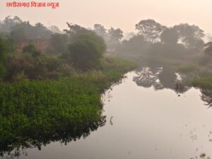 Surangi nadi image 2