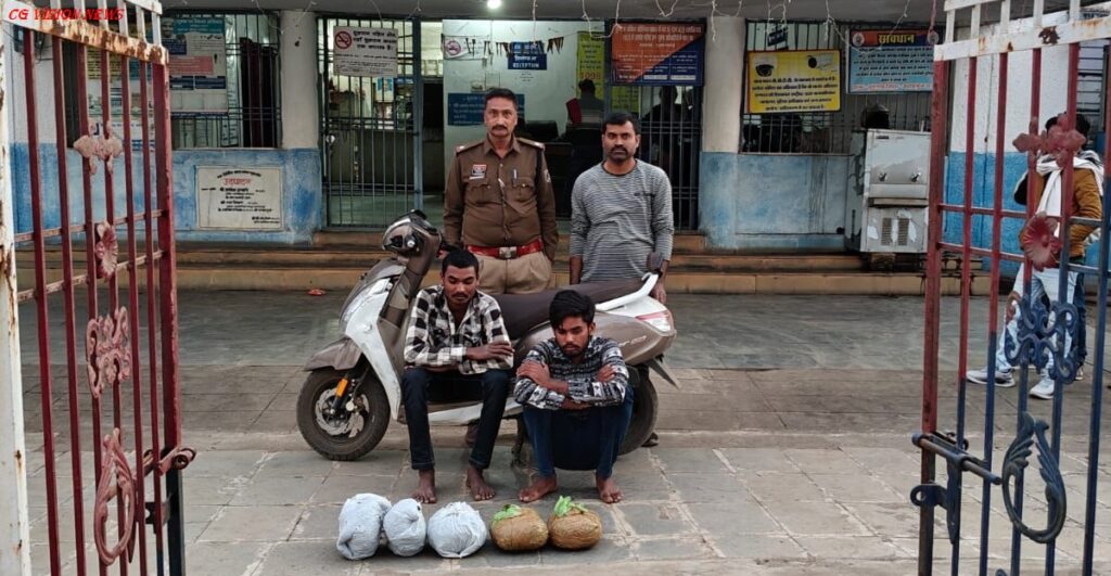 गांजा Tumgaon