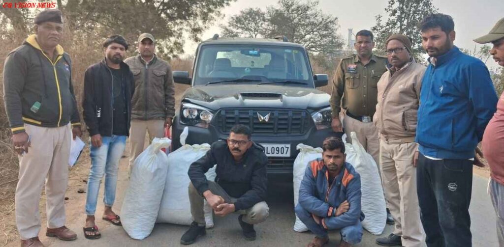 महासमुंद: ANTF की बड़ी कार्रवाई, 80 किलो गांजा जब्त, दो तस्कर गिरफ्तार। ANTF ganjamsdn