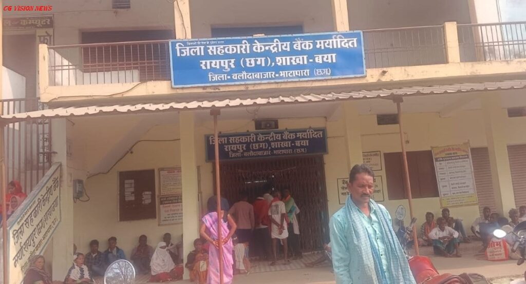 धान Baya bank new