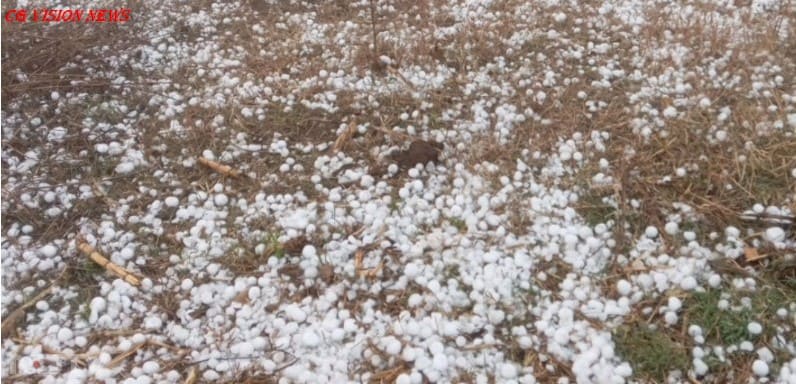 बसना: चनाट क्षेत्र में ओलावृष्टि, किसानों की फसलों को नुकसान की आशंका। ओलावृष्टि ola image