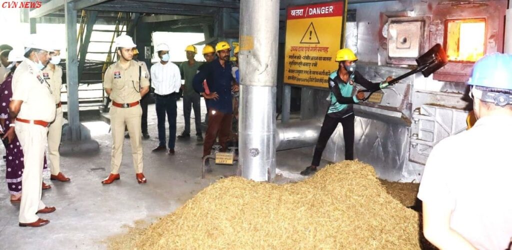 गांजा का नष्टीकरण