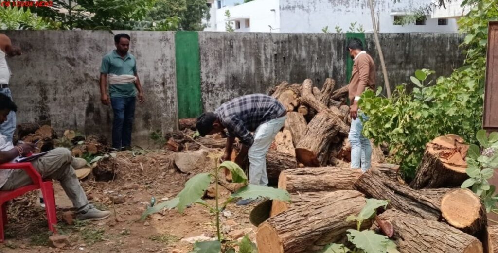 लकड़ी परिवहन पिथौरा